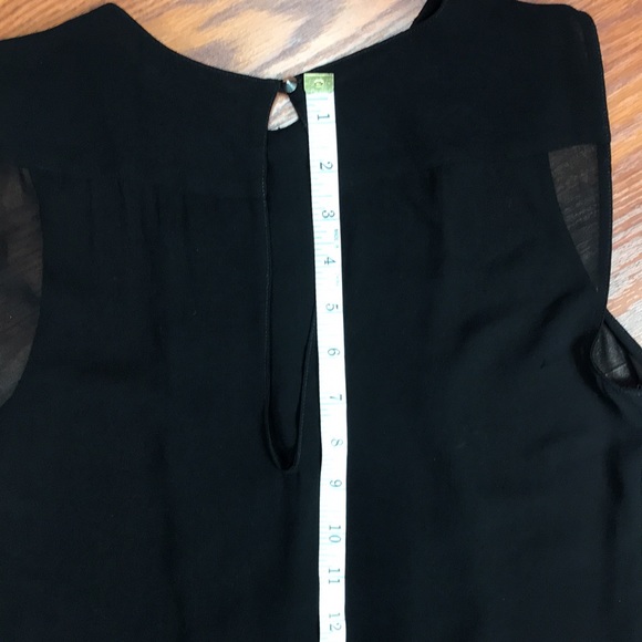 Zara Sheer Sleeveless Blouse - Picture 4 of 5